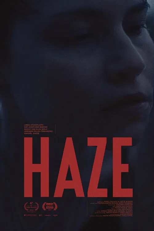 Poster do filme HAZE