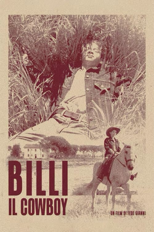 Cowboy Billi movie poster
