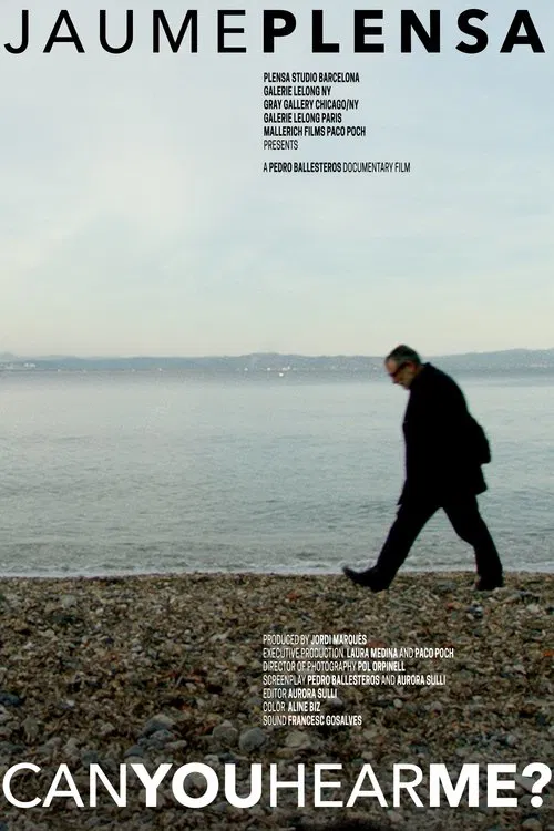Jaume Plensa: Can You Hear Me? movie poster