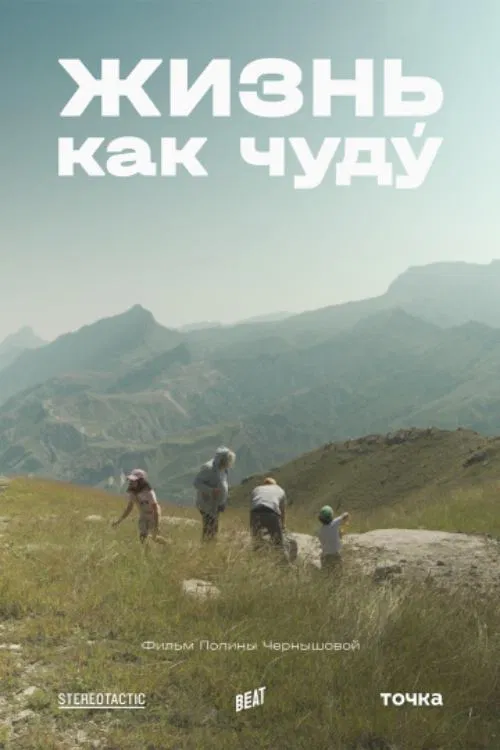 Life As a Chudu movie poster