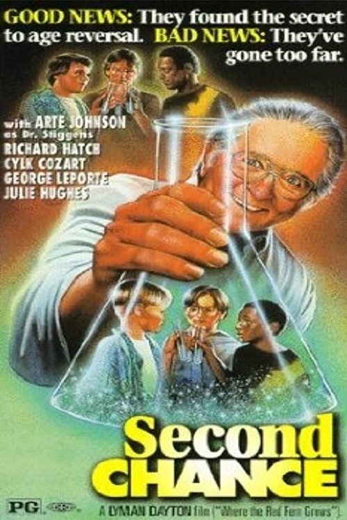 Second Chance movie poster