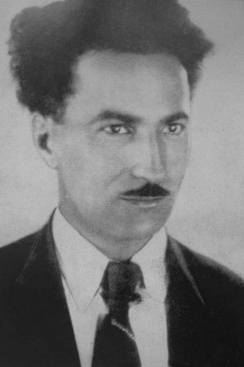 Nikoloz Shengelaya profile picture