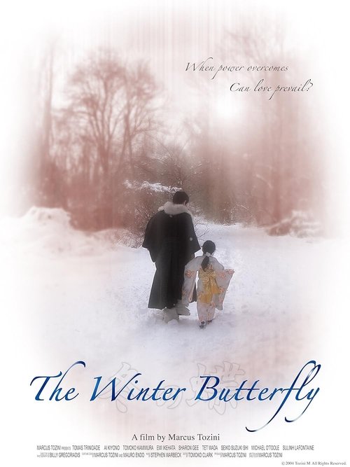 The Winter Butterfly movie poster