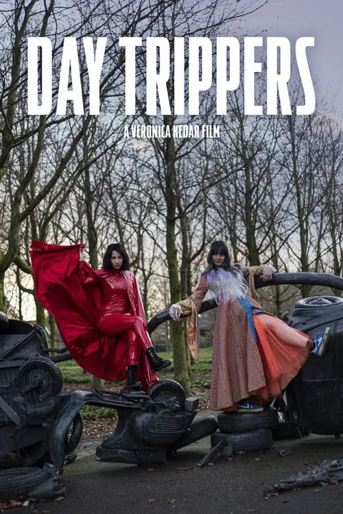 Day Trippers movie poster