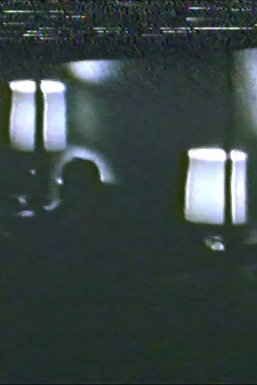 Audio and Visual Experiment 20 movie poster