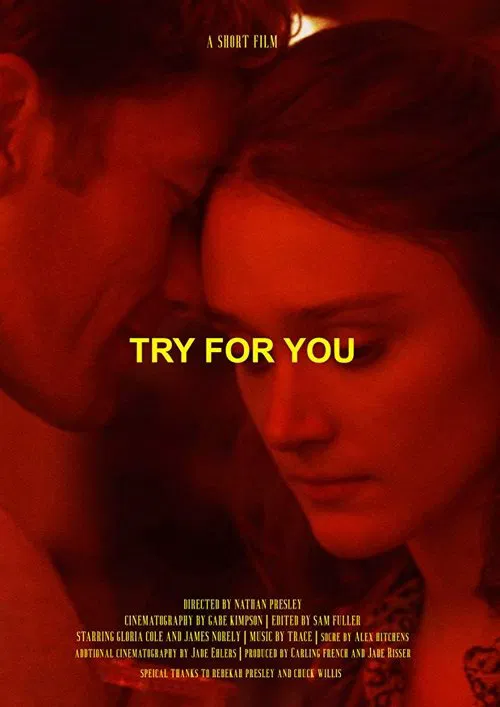 Try For You movie poster