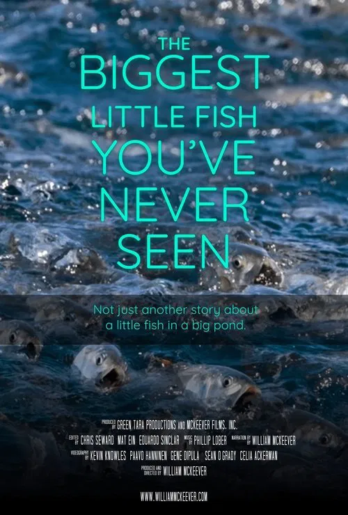 The Biggest Little Fish You've Never Seen movie poster