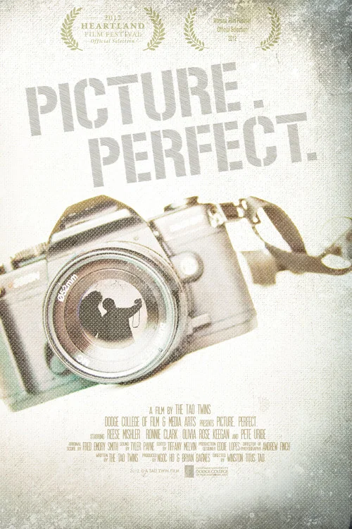 Picture. Perfect. movie poster