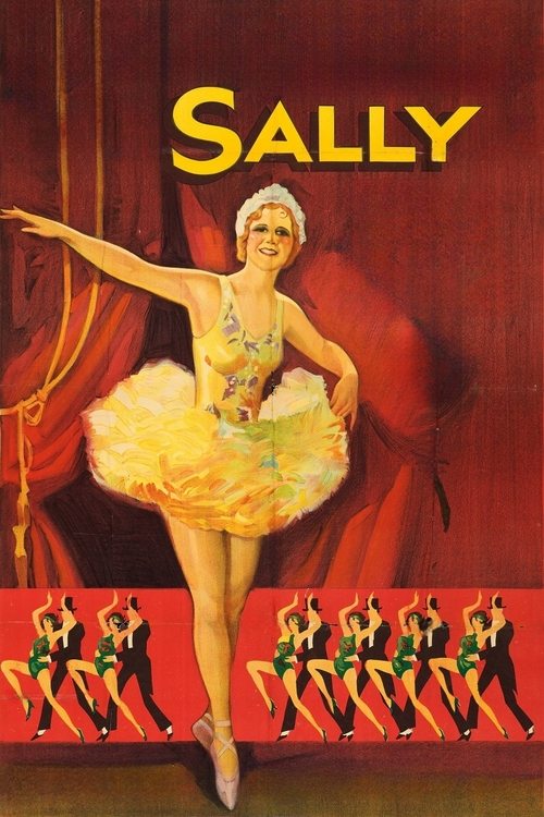 Sally movie poster