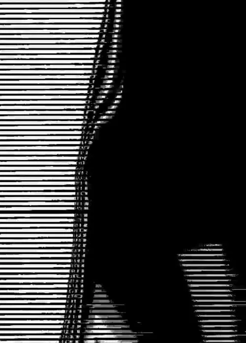 distorted areas~ movie poster