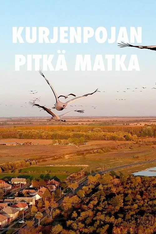 A Young Crane's Long Journey movie poster