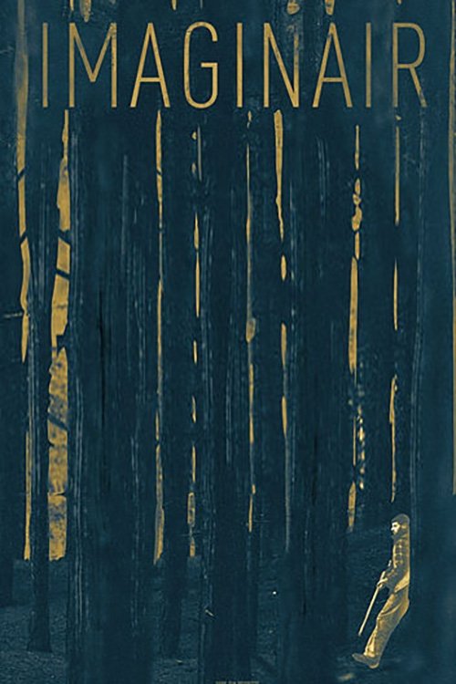 Imaginair movie poster