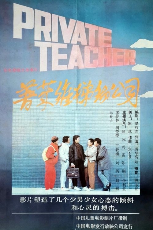 普莱维梯彻公司 movie poster
