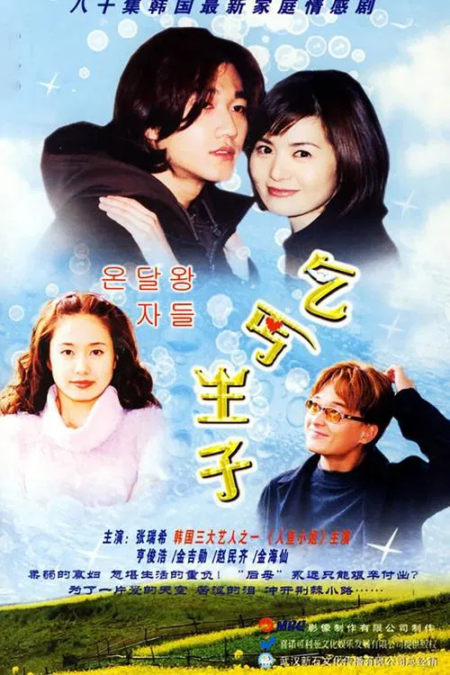 Funny Princes tv show poster