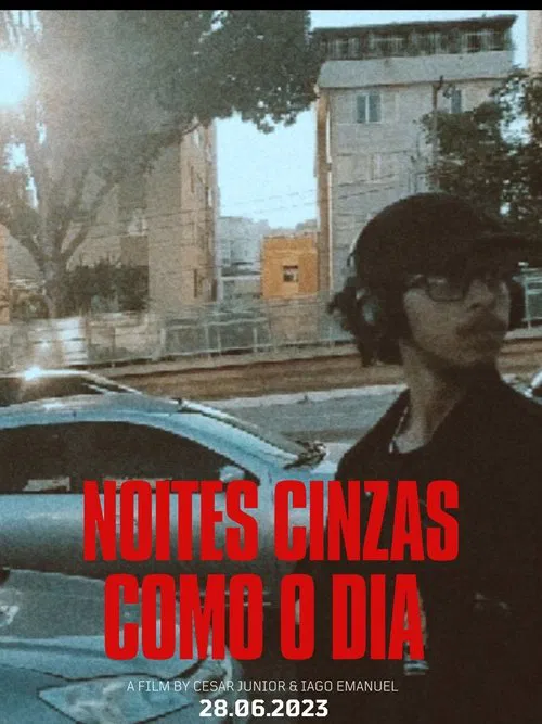 Poster do filme NOITES CINZAS COMO DIA