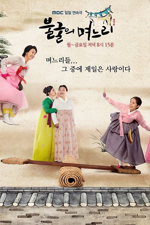 Indomitable Daughters-in-Law tv show poster