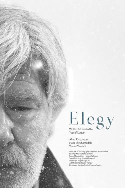 Elegy movie poster