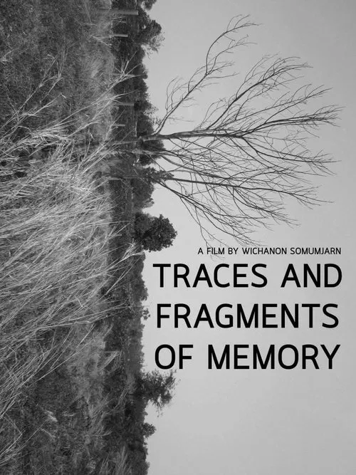 Traces and Fragments of Memory movie poster