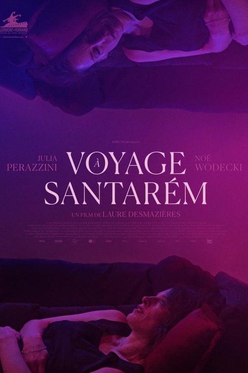 Trip to Santarem movie poster