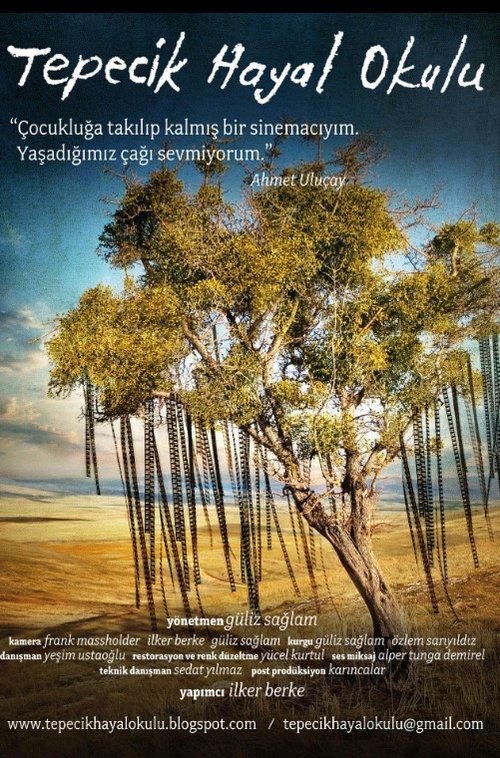 A Dream School in the Steppes movie poster