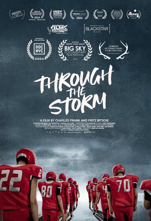 Through the Storm movie poster