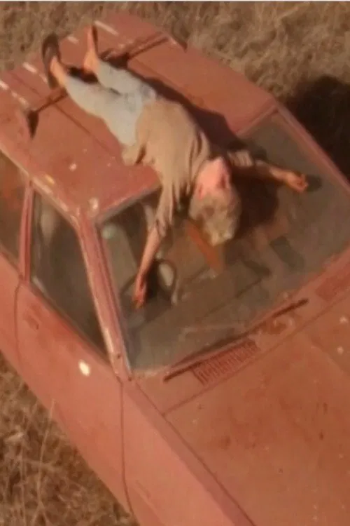 Caravan movie poster