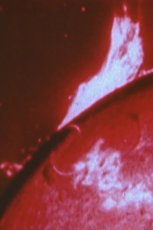 Sonnenstube movie poster