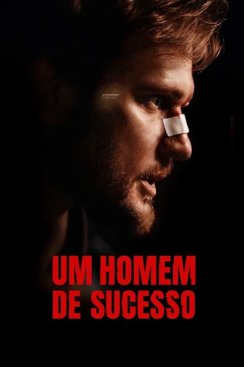 Poster do filme Um Homem de Sucesso