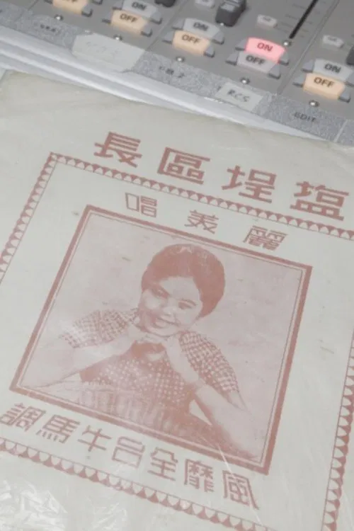 The Chief of Yancheng District movie poster