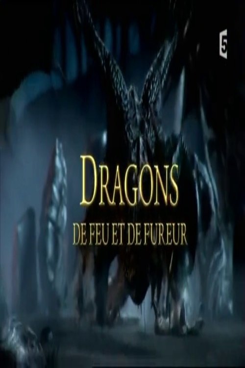 Dragons de feu et de fureur movie poster