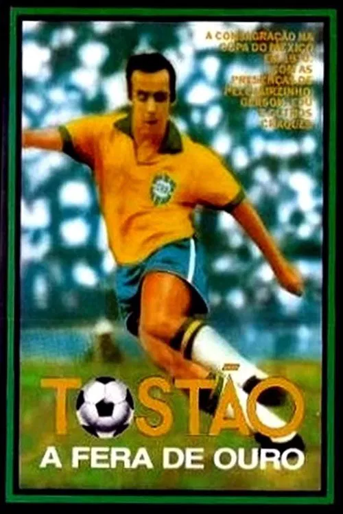 Poster do filme Tostão - A Fera de Ouro
