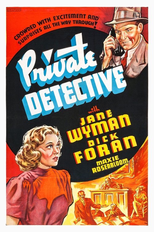 Private Detective movie poster