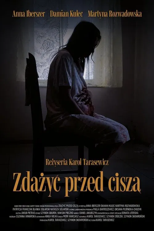 Zdążyć przed ciszą movie poster