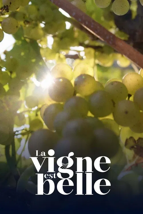 La vigne est belle tv show poster