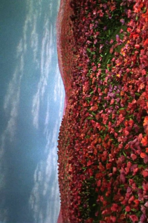 Insomnio doméstico movie poster