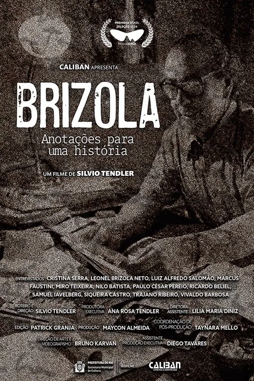 Brizola, Anotações para uma História movie poster