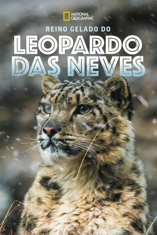 Poster do filme Reino Gelado do Leopardo das Neves