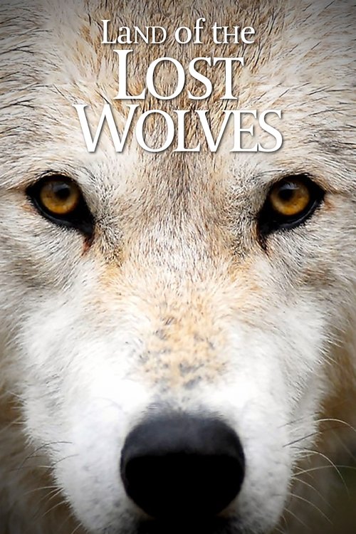 Land of the Lost Wolves tv show poster