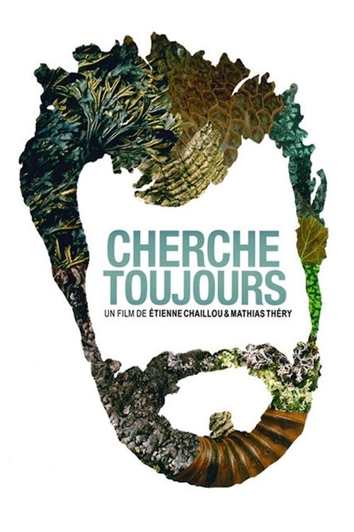 Cherche toujours movie poster