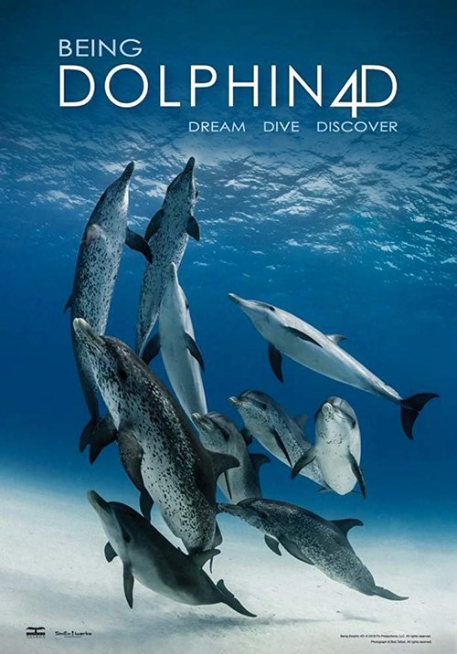Being Dolphin 4D movie poster