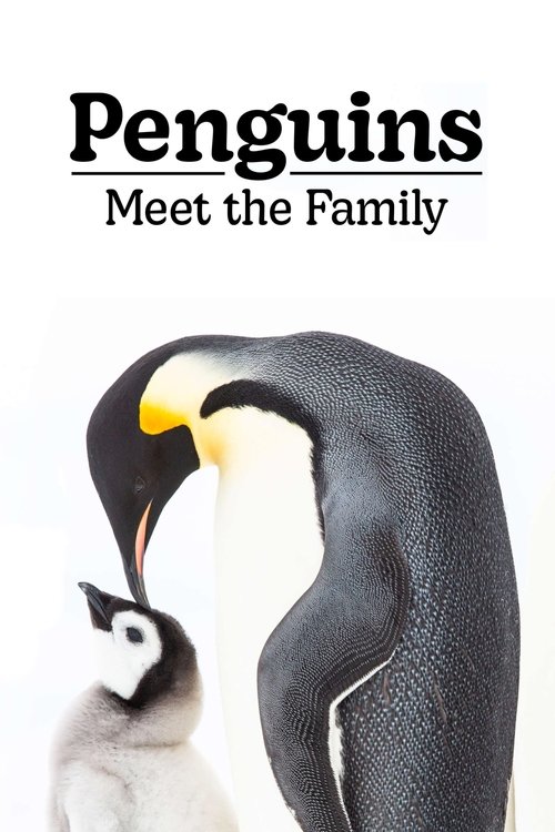Penguins: Meet the Family movie poster