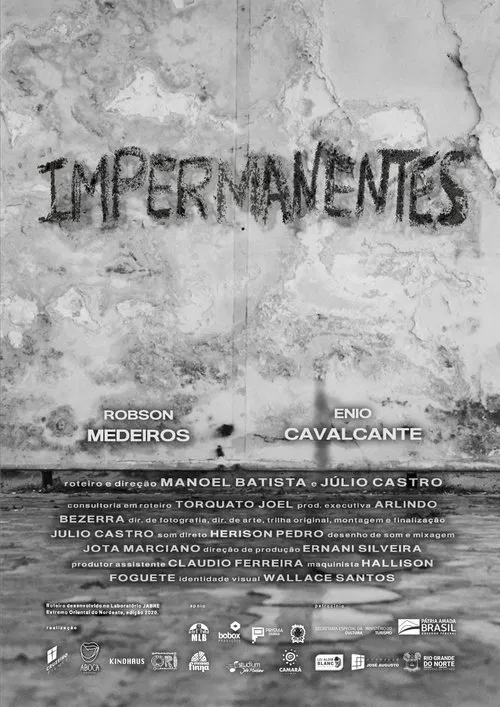 Poster do filme Impermanentes