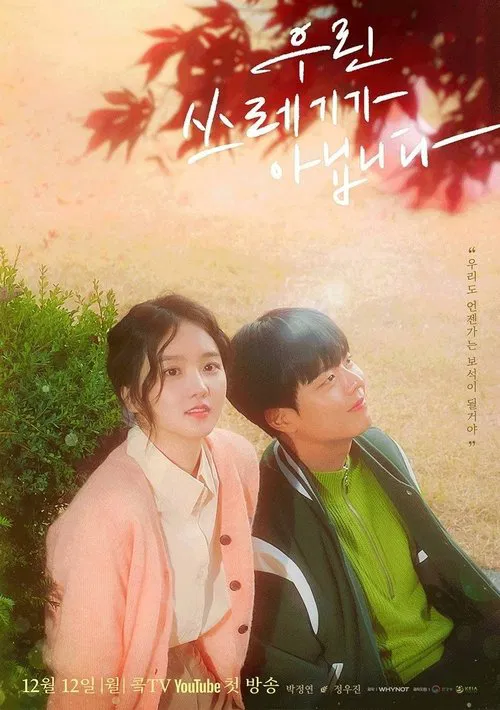 We're Not Trash tv show poster