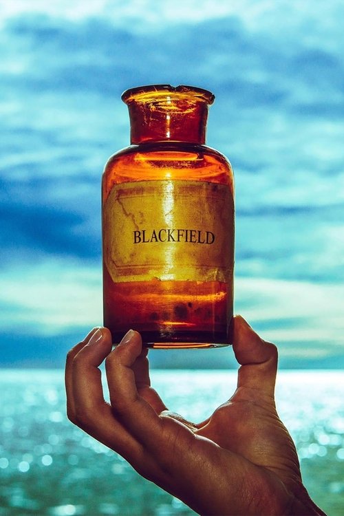Blackfield V movie poster