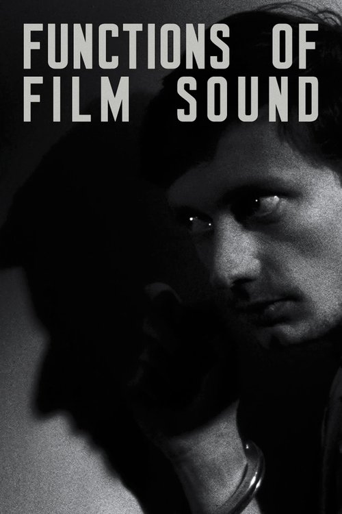 Functions of Film Sound movie poster