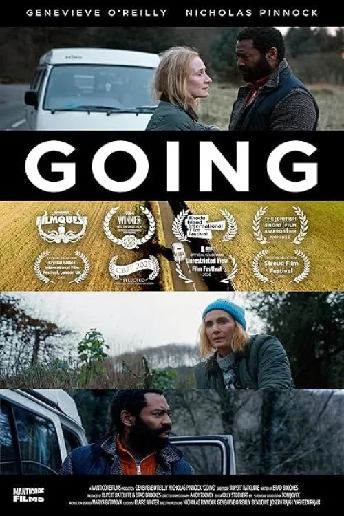 Going movie poster