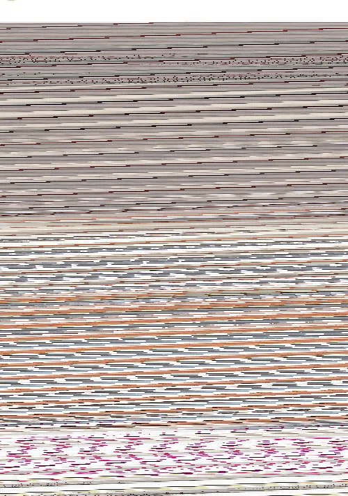 Poster do filme 永井里菜 純粋乙女