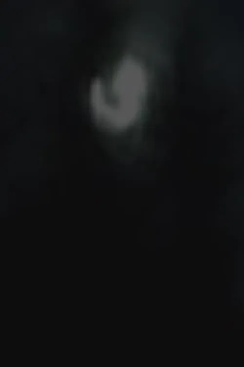 Moonlight movie poster