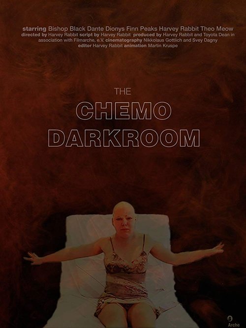 Poster do filme The Chemo Darkroom