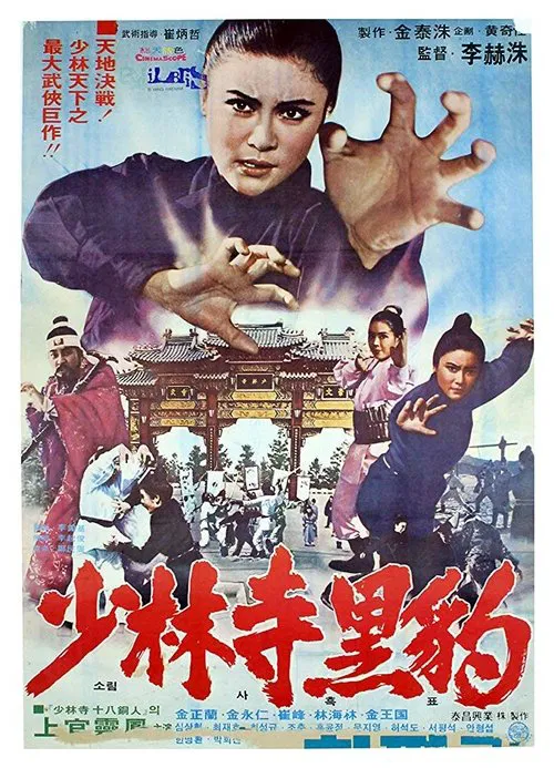 Poster do filme Heuk-pyo of Shaolin Temple